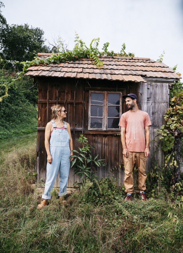 junges weingut krems oesterreich