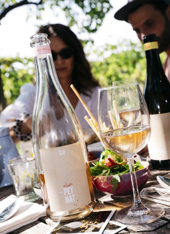 ingo pertramer oesterreich weingut fotos tia wine