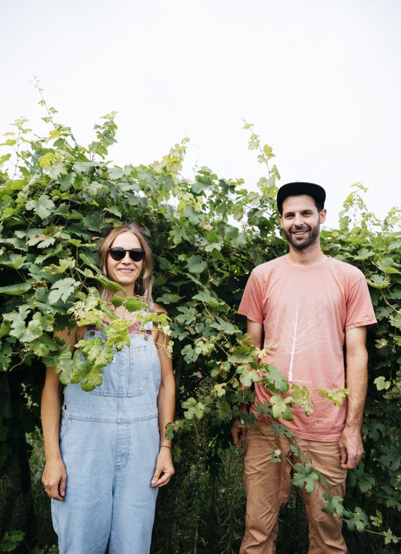 ingo pertramer weingut fotos oesterreich