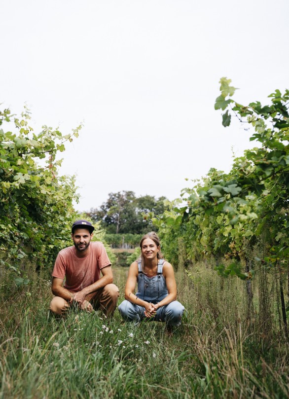 neues weingut osterreich krems hollenburg tia wine neues weingut osterreich krems hollenburg tia wine