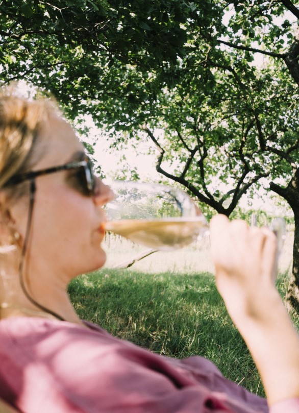 petnat rose zweigelt tia wine sommerwein sparkling