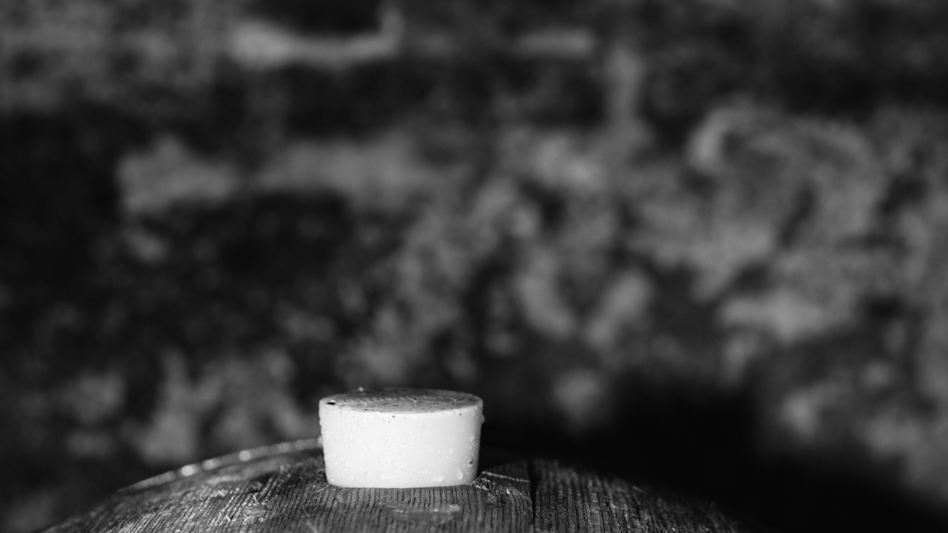 tia gruener veltliner tia wine hollenburg holzfass