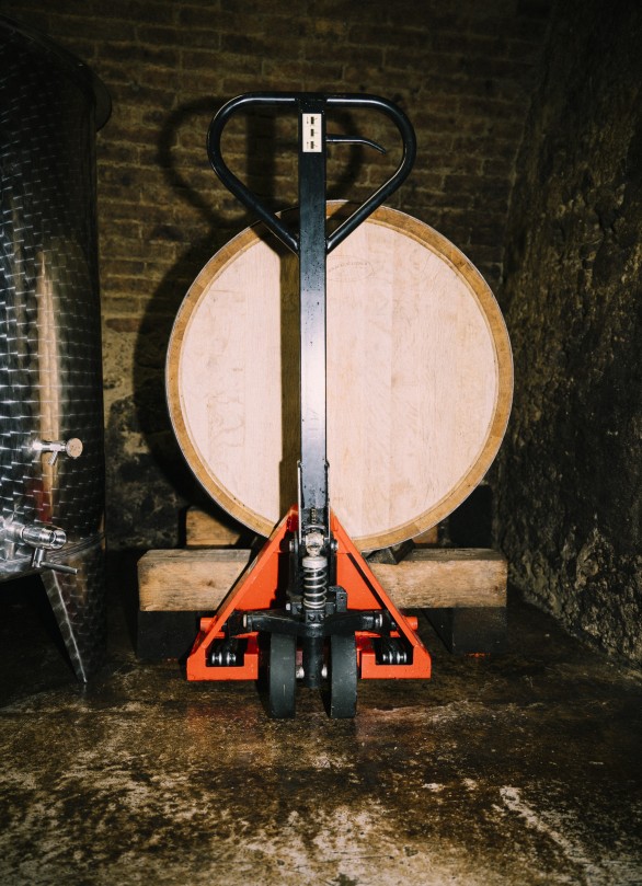 ingo pertramer fotos weingut oesterreich ingo pertramer fotos weingut oesterreich