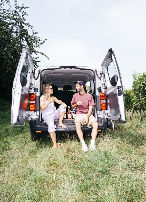 naturnahe weissweine kaufen oesterreich krems