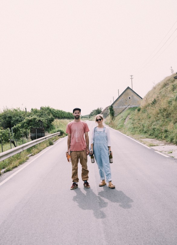 hollenburg krems kleines weingut