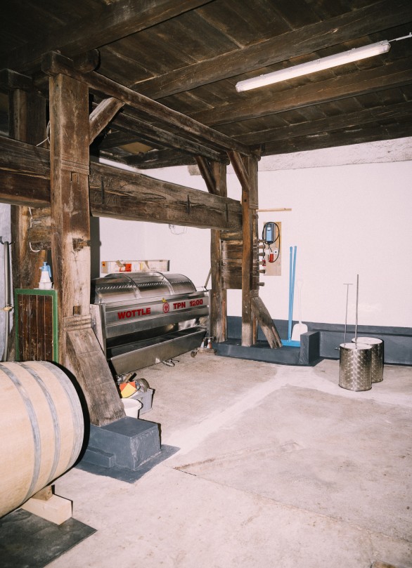 weingut krems hollenburg tia wine weingut krems hollenburg tia wine