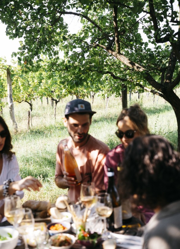 sommerwein oesterreich tia wine sommerwein oesterreich tia wine