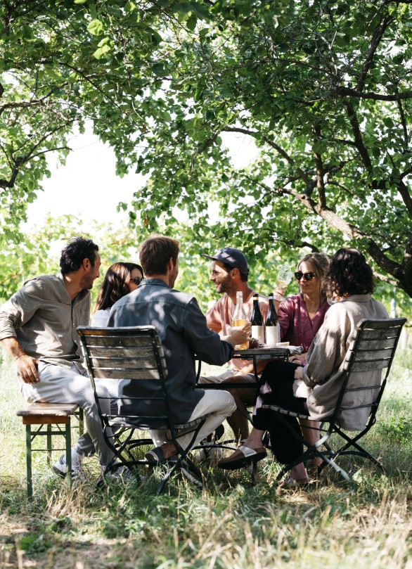 jungwinzer oesterreich krem weisswein