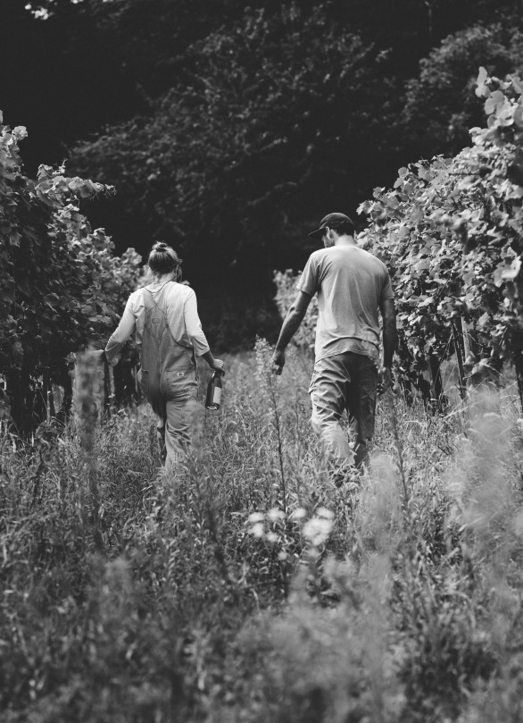 tobias claudia hollenburg krems neues weingut